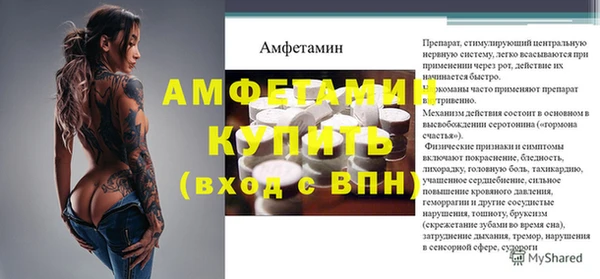 хмурый Няндома