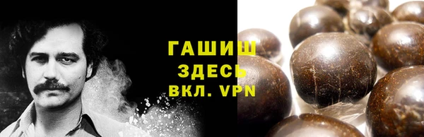 хмурый Няндома