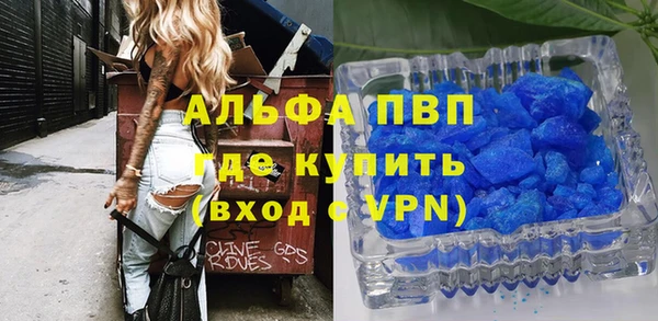 хмурый Няндома