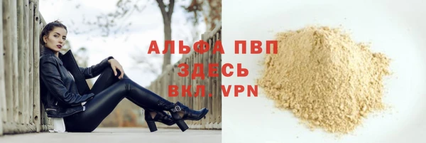 хмурый Няндома