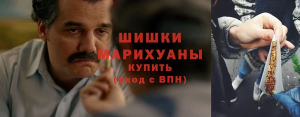 хмурый Няндома