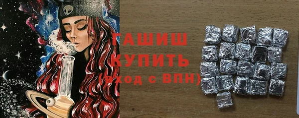 хмурый Няндома