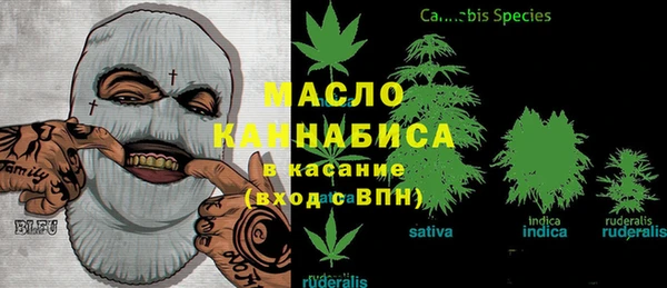 хмурый Няндома