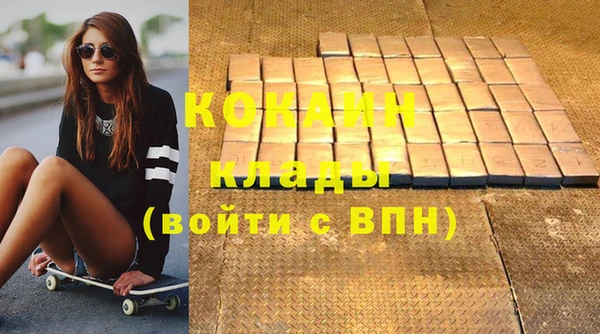 хмурый Няндома