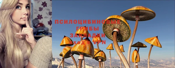 ALPHA PVP Нязепетровск