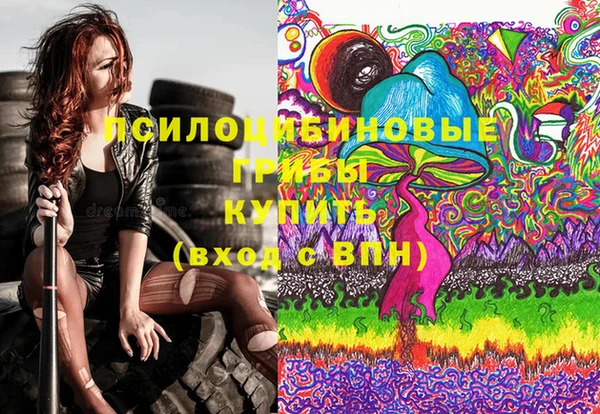 хмурый Няндома